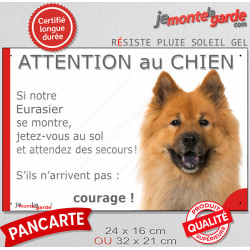 Eurasier fauve masque noir, plaque portail humour "Attention au Chien, Jetez Vous au Sol, secours, courage" photo pancarte drôle