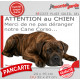 Plaque portail humour extérieure "Attention au Chien, Merci de ne pas déranger notre Cane Corso bringé" Photo drôle fatigué