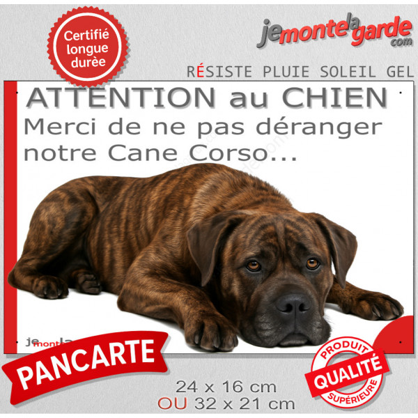 Plaque portail humour extérieure "Attention au Chien, Merci de ne pas déranger notre Cane Corso bringé" Photo drôle fatigué