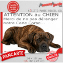 Plaque humour "Attention au Chien, Merci de ne pas déranger notre Cane Corso bringé" 2 Tailles D