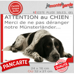 Plaque portail humour extérieure "Attention au Chien, Merci de ne pas déranger notre Münsterländer noir truité blanc" Photo