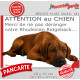 Plaque portail humour extérieure "Attention au Chien, Merci de ne pas déranger notre Rhodesian Ridgeback" Photo drôle fatigué fe