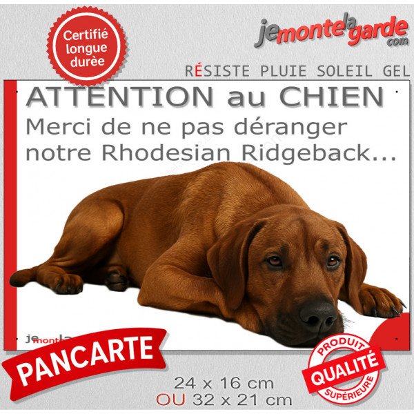 Plaque portail humour extérieure "Attention au Chien, Merci de ne pas déranger notre Rhodesian Ridgeback" Photo drôle fatigué fe