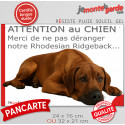 Plaque humour "Attention au Chien, Merci de ne pas déranger notre Rhodesian Ridgeback" 2 Tailles D