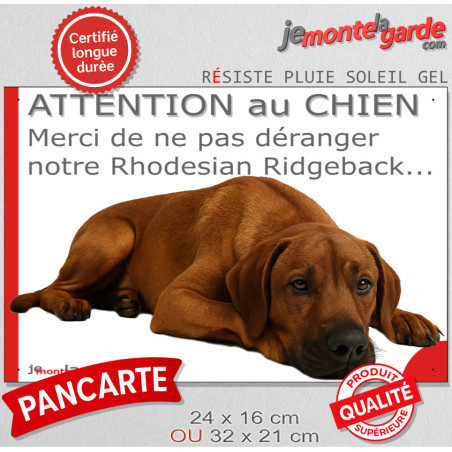 Plaque humour "Attention au Chien, Merci de ne pas déranger notre Rhodesian Ridgeback" 2 Tailles D