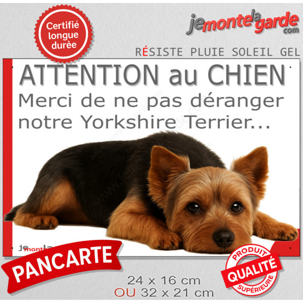 Plaque portail humour extérieure "Attention au Chien, Merci de ne pas déranger notre Yorkshire Terrier bleu" Photo drôle fatigué