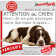 Plaque portail humour extérieure "Attention au Chien, Merci de ne pas déranger notre English Springer Spaniel foie" Photo drôle 