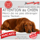 Plaque portail humour extérieure "Attention au Chien, Merci de ne pas déranger notre Teckel rouge poils longs". Photo drôle nain