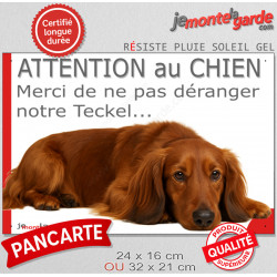 Plaque portail humour extérieure "Attention au Chien, Merci de ne pas déranger notre Teckel rouge poils longs". Photo drôle nain