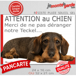 Plaque humour "Attention au Chien, Merci de ne pas déranger notre Teckel sanglier poils durs" 2 Tailles D