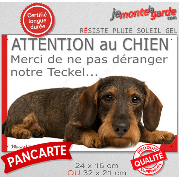 Plaque portail humour extérieur "Attention au Chien, Merci de ne pas déranger notre Teckel sanglier poils durs" Photo drôle nain