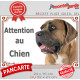 Cane Corso fauve masque noir, pancarte portail "Attention au Chien", panneau photo race plaque porte entrée Cane Italiano marron