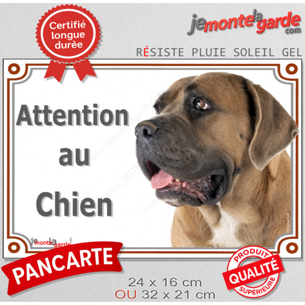 Cane Corso fauve masque noir, pancarte portail "Attention au Chien", panneau photo race plaque porte entrée Cane Italiano marron