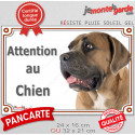 Cane Corso fauve, plaque portail photo "Attention au Chien" 2 tailles LUX