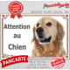 Golden Retriever tête, plaque portail "Attention au Chien" pancarte photo entrée, panneau rue race porte