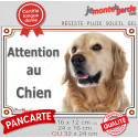 Golden Retriever, plaque portail photo "Attention au Chien" 3 tailles LUX D