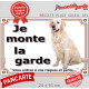 Golden Retriever Assis, Plaque portail "je monte la garde, risques et périls" affiche pancarte photo attention au chien