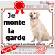 Golden Retriever Assis, Plaque portail "je monte la garde, risques et périls" affiche pancarte photo attention au chien