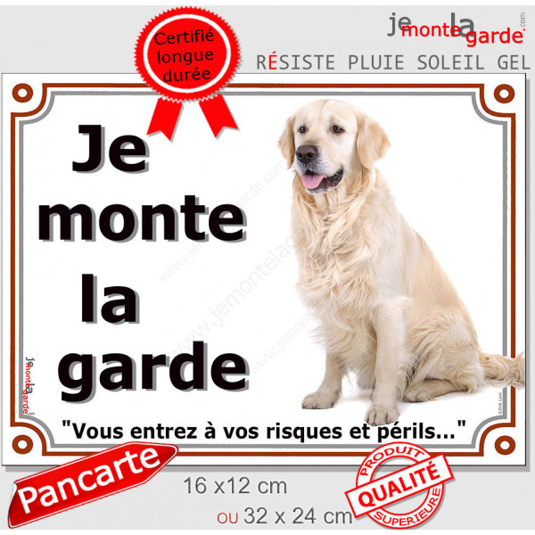 Golden Retriever Assis, Plaque portail "je monte la garde, risques et périls" affiche pancarte photo attention au chien
