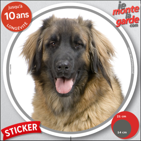 Leonberg, sticker voiture autocollant rond "photo" résiste pluie soleil gel, idée cadeau, 2 tailles D