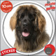 Leonberg Tête, sticker autocollant rond "photo" disque intérieur ou Extérieur adhésif voiture, vitre auto