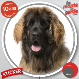 Leonberg fauve masque noir, sticker autocollant rond "photo" disque intérieur ou Extérieur adhésif voiture, vitre auto