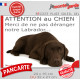 Plaque portail humour extérieur "Attention au Chien, Merci de ne pas déranger notre Labrador chocolat foie" Photo drôle fatigué 