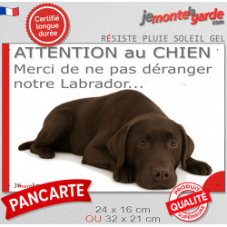 Plaque humour "Attention au Chien, Merci de ne pas déranger notre Labrador chocolat" 2 Tailles D