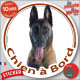 Berger Belge Malinois Tête, sticker autocollant rond "Chien à Bord" disque adhésif vitre voiture