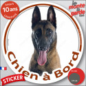 Berger Belge Malinois, sticker voiture rond photo "Chien à Bord" 2 tailles D