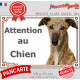 Lévrier Galgo Espagnol bringé Tête, plaque portail "Attention au Chien" pancarte extérieure panneau affiche photo