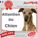 Lévrier Galgo Espagnol bringé, plaque extérieure "Attention au Chien" 2 tailles LUX D