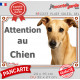 Lévrier Galgo Espagnol fauve Tête, plaque portail "Attention au Chien" pancarte extérieure panneau affiche photo
