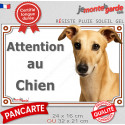 Lévrier Galgo Espagnol fauve, plaque extérieure "Attention au Chien" 2 tailles LUX D