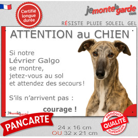 Lévrier Galgo Espagnol bringé, plaque portail humour "Attention au Chien, Jetez Vous au Sol, attendez secours, courage" photo, r