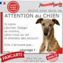 Lévrier Galgo bringé, plaque portail humour "Attention au Chien, Jetez Vous au Sol" 2 tailles JET