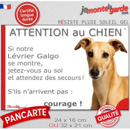 Lévrier Galgo fauve, plaque portail humour "Attention au Chien, Jetez Vous au Sol" 2 tailles JET D