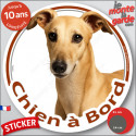 Lévrier Galgo fauve, sticker voiture rond "Chien à Bord" 2 tailles D