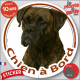 Boxer bringé, sticker autocollant rond "Chien à Bord" Disque photo adhésif vitre voiture auto, bringué