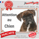 Boxer bringé, plaque portail extérieure "Attention au Chien" pancarte panneau photo Boxeur marron zébré