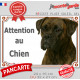 Boxer bringé, plaque portail extérieure "Attention au Chien" pancarte panneau photo Boxeur marron zébré