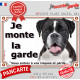 Boxer Bringé foncé, plaque portail "Je Monte la Garde, risques et périls" panneau affiche, rayé attention au chien photo