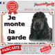 Cocker Anglais noir, plaque portail "Je Monte la Garde, risques périls" panneau pancarte spaniel attention au chien photo