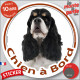 Cocker Américain tricolore, sticker autocollant rond "Chien à Bord" Disque adhésif voiture, USA US photo