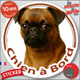 Petit Brabançon fauve rouge masque noir, disque photo autocollant "Chien à Bord" Sticker adhésif rond vitre voiture, résiste plu