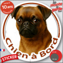 Brabançon fauve, disque autocollant voiture "Chien à Bord" 2 tailles D