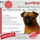 Petit Brabançon fauve rouge, plaque extérieure humour "Attention au Chien, Jetez Vous au Sol, attendez secours, courage" photo