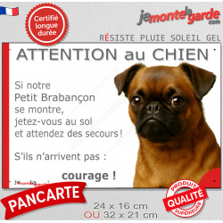 Brabançon fauve, plaque extérieure humour "Attention au Chien, Jetez Vous au Sol" 2 tailles JET D
