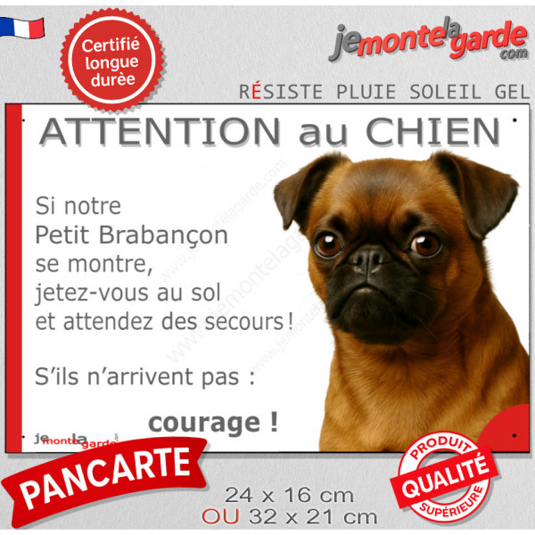 Petit Brabançon fauve rouge, plaque extérieure humour "Attention au Chien, Jetez Vous au Sol, attendez secours, courage" photo