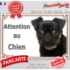Petit Brabançon noir et feu, plaque portail "Attention au Chien" pancarte entrée, panneau photo race